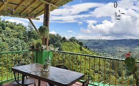 Hostal Y Camping Los Girasoles